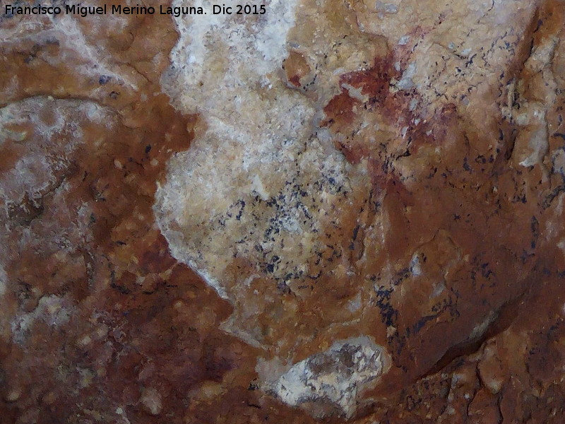 Pinturas rupestres de la Cueva de la Graja-Grupo XVI - Pinturas rupestres de la Cueva de la Graja-Grupo XVI. 