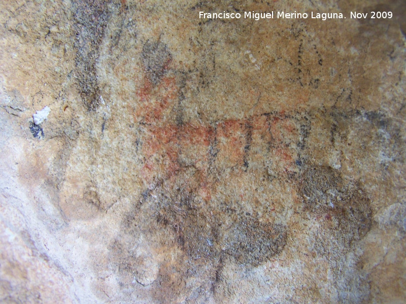 Pinturas rupestres de la Cueva de la Graja-Grupo XVI - Pinturas rupestres de la Cueva de la Graja-Grupo XVI. Cabra muy deteriorada con su cornamenta a la izquierda
