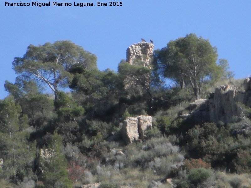 Torren de Los Pinares - Torren de Los Pinares. Con los vuitres de viga