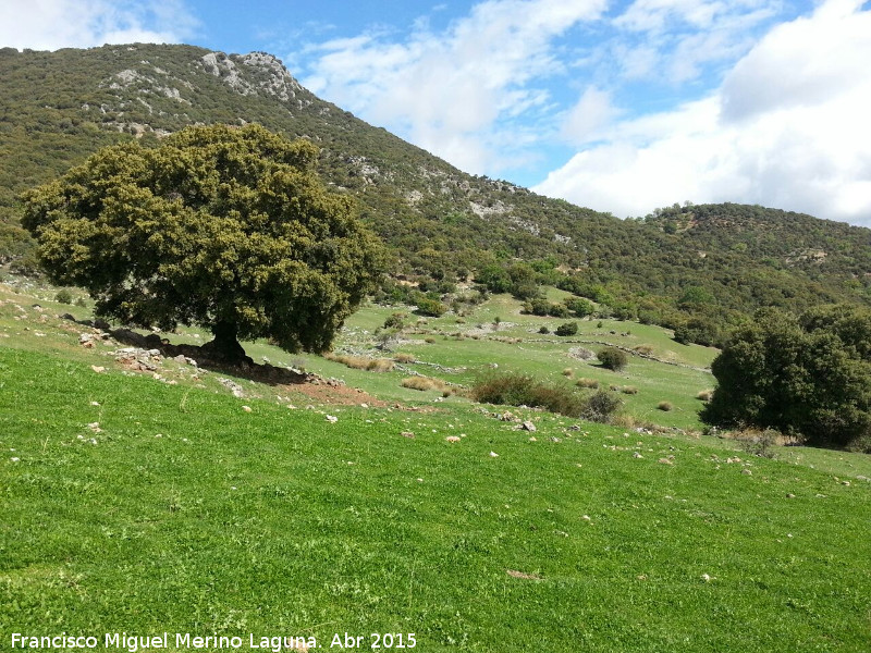 El Moralejo - El Moralejo. 