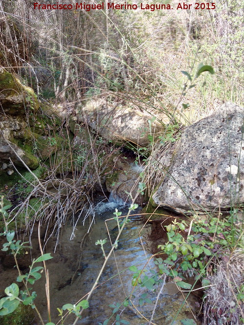 Arroyo de Navalayegua - Arroyo de Navalayegua. 