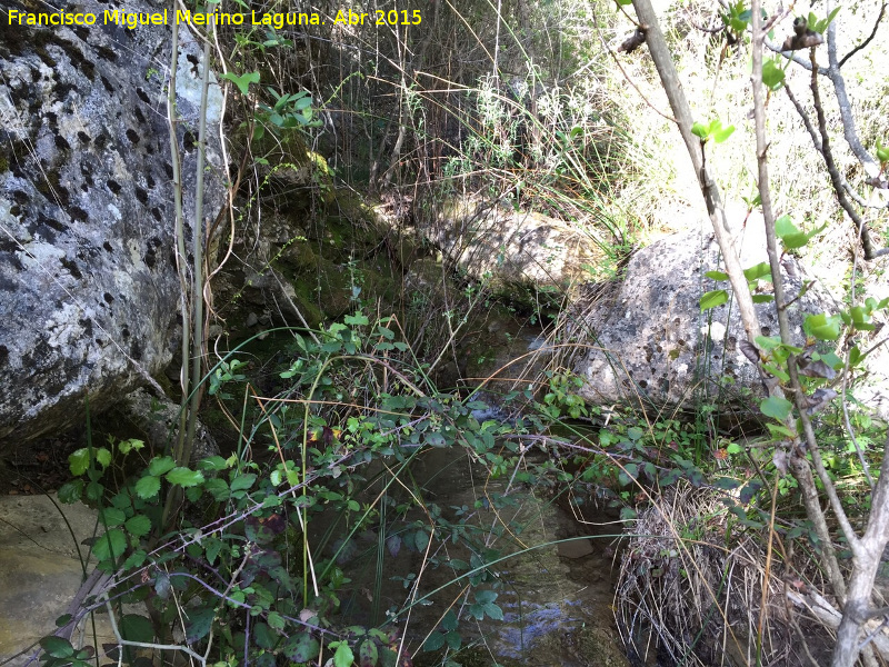 Arroyo de Navalayegua - Arroyo de Navalayegua. 