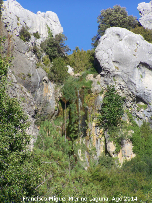 Cascada del Tejo - Cascada del Tejo. 