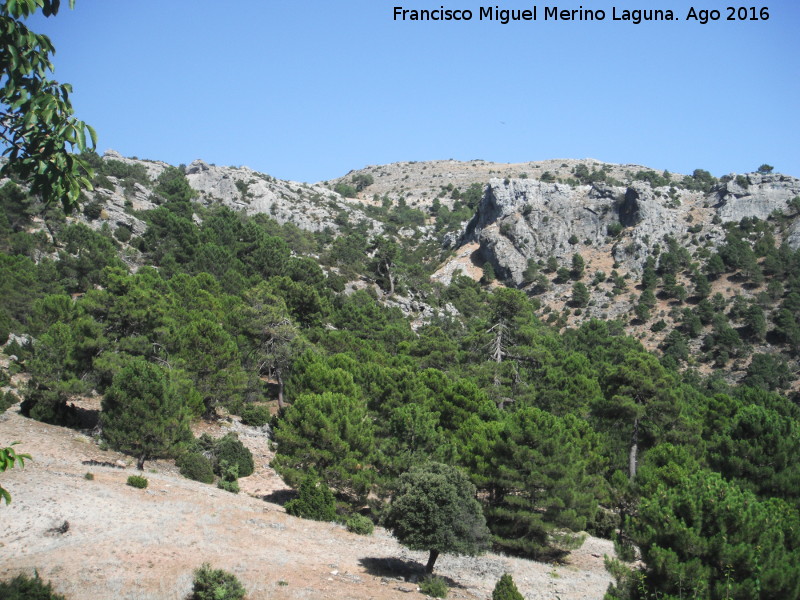 Lancha de la Escalera - Lancha de la Escalera. Desde la Majada de la Carrasca