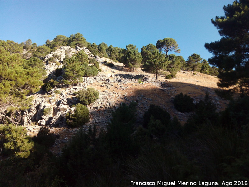 Collado La Tejera - Collado La Tejera. Con su cortijo