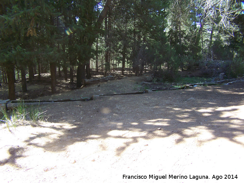 Tornajos del Prado de los Fresnos - Tornajos del Prado de los Fresnos. 