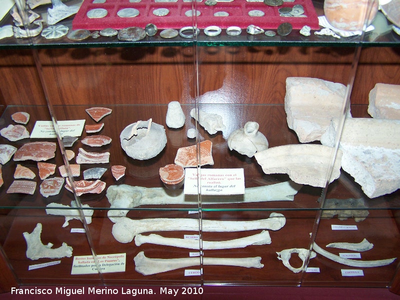 Museo de Jdar - Museo de Jdar. Cermica romana y restos humanos de la necrpolis de Los Pinares