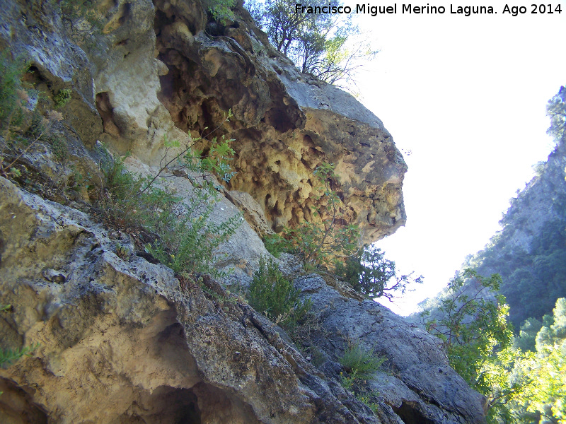 Cueva del Peinero - Cueva del Peinero. Formaciones calcáreas en el exterior de la cueva