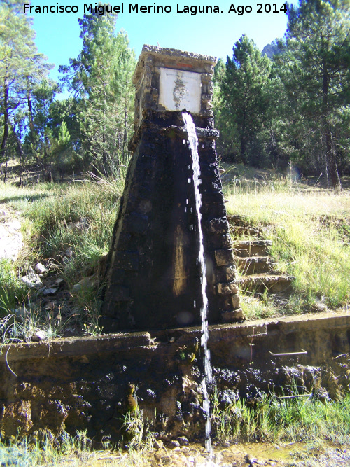 Fuente del Raso de la Honguera - Fuente del Raso de la Honguera. 