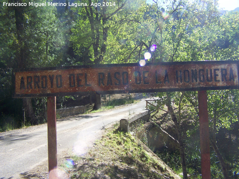 Arroyo del Raso de la Honguera - Arroyo del Raso de la Honguera. Cartel