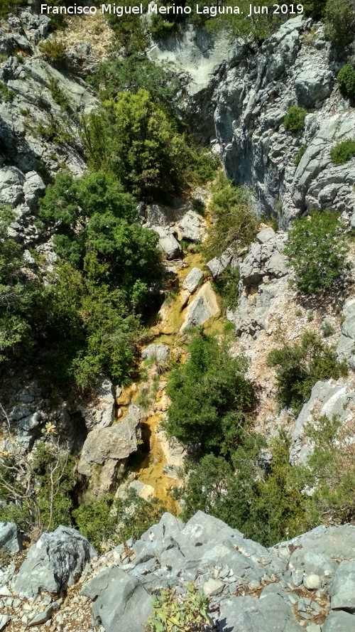 Arroyo del Raso de la Honguera - Arroyo del Raso de la Honguera. Curso alto