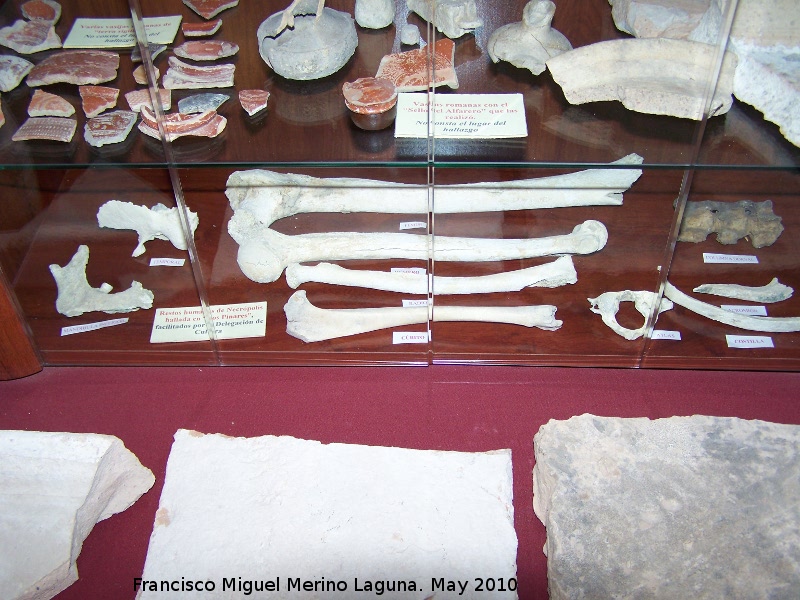 Los Pinares - Los Pinares. Restos humanos encontrados en la necrpolis de Los Pinares