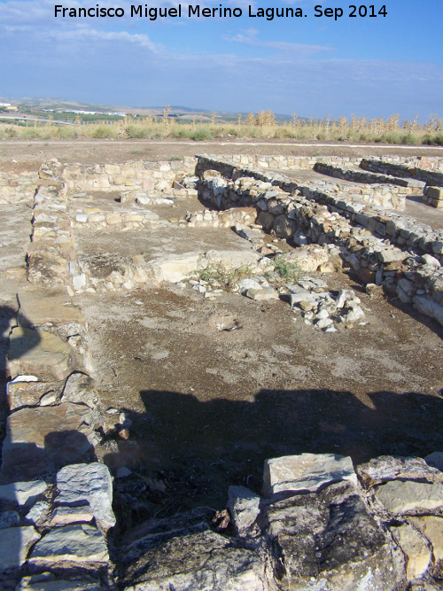 Oppidum Puente Tablas. Viviendas - Oppidum Puente Tablas. Viviendas. Casa