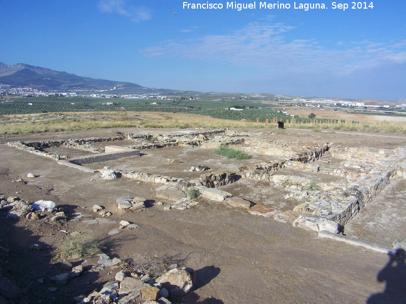 Oppidum Puente Tablas. Viviendas - Oppidum Puente Tablas. Viviendas. 