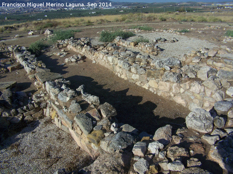 Oppidum Puente Tablas. Palacio - Oppidum Puente Tablas. Palacio. Almacn