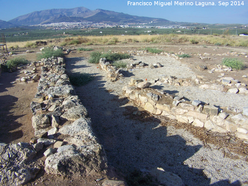 Oppidum Puente Tablas. Palacio - Oppidum Puente Tablas. Palacio. Muro perimetral y calle