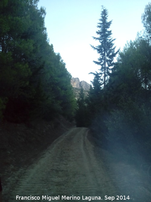 Camino del Portichuelo - Camino del Portichuelo. 