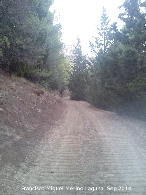 Camino del Portichuelo - Camino del Portichuelo. 