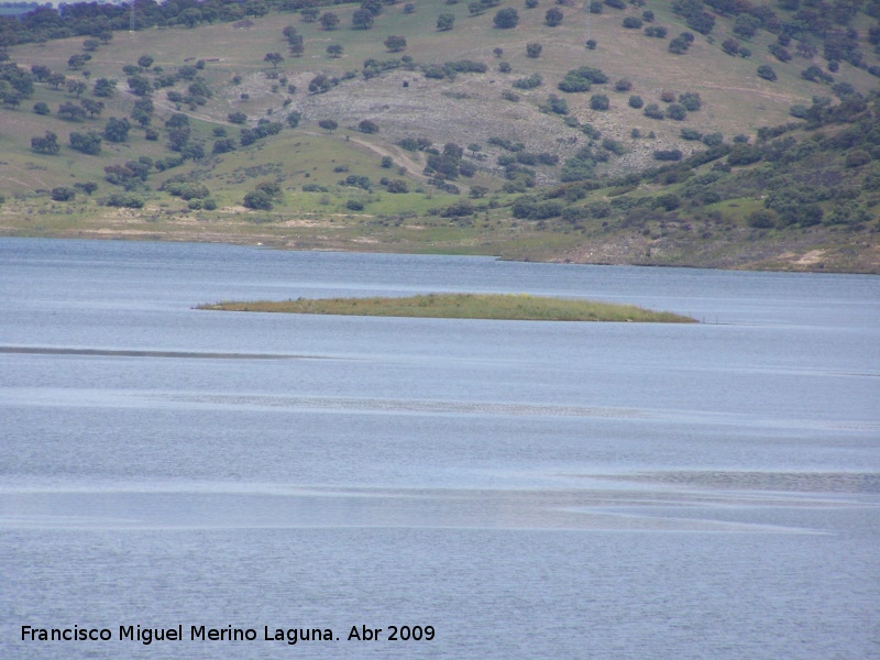 Pantano de la Fernandina - Pantano de la Fernandina. Isla