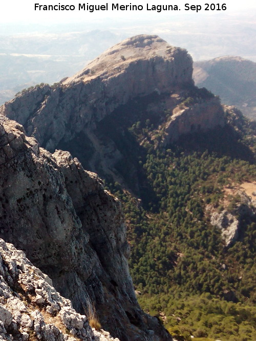 Rayal - Rayal. Desde el Pen del Guante