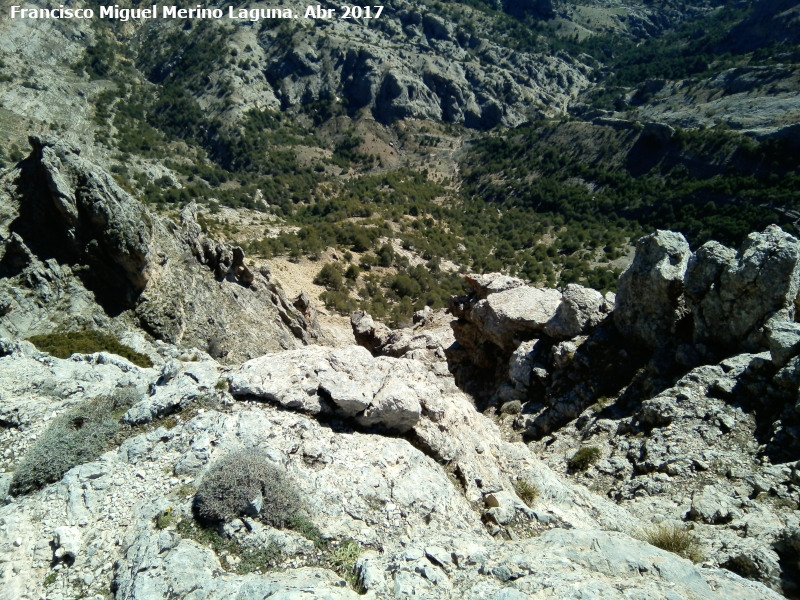 Empanadas - Empanadas. Altura hacia el Barranco de Tnez