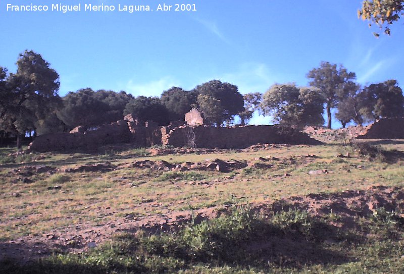 La Aliseda - La Aliseda. Restos de casas