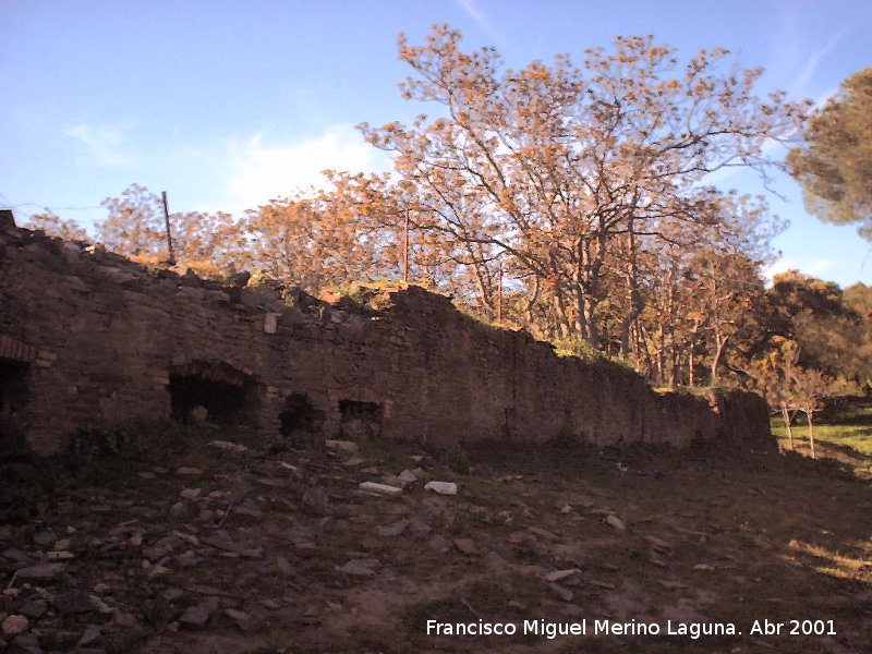 La Aliseda - La Aliseda. Restos de casas