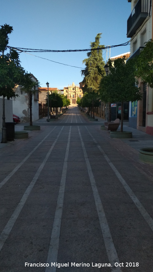 Calle Jardines - Calle Jardines. 