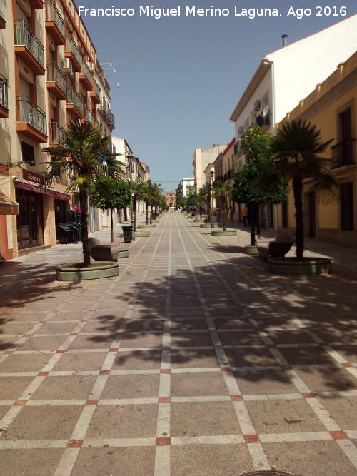 Calle Jardines - Calle Jardines. 