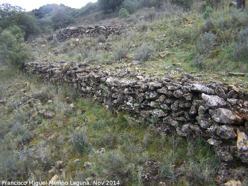 Calzada de Recuas - Calzada de Recuas. 