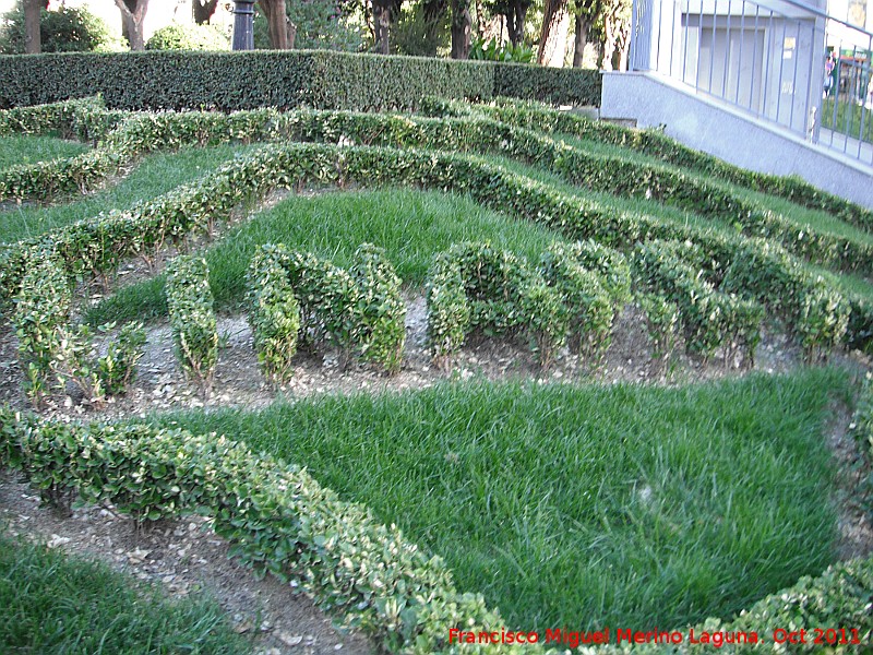 Linares - Linares. 