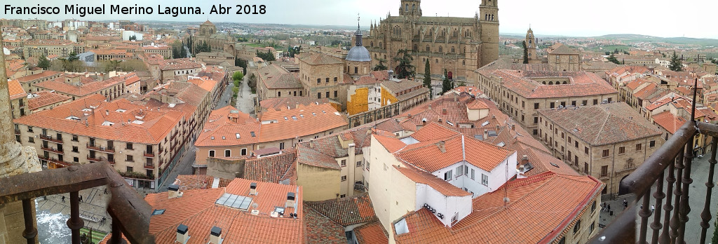 Salamanca - Salamanca. Vistas desde La Clereca