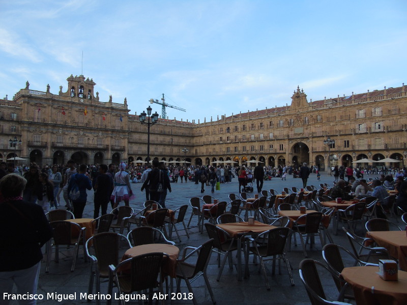 Plaza Mayor - Plaza Mayor. 