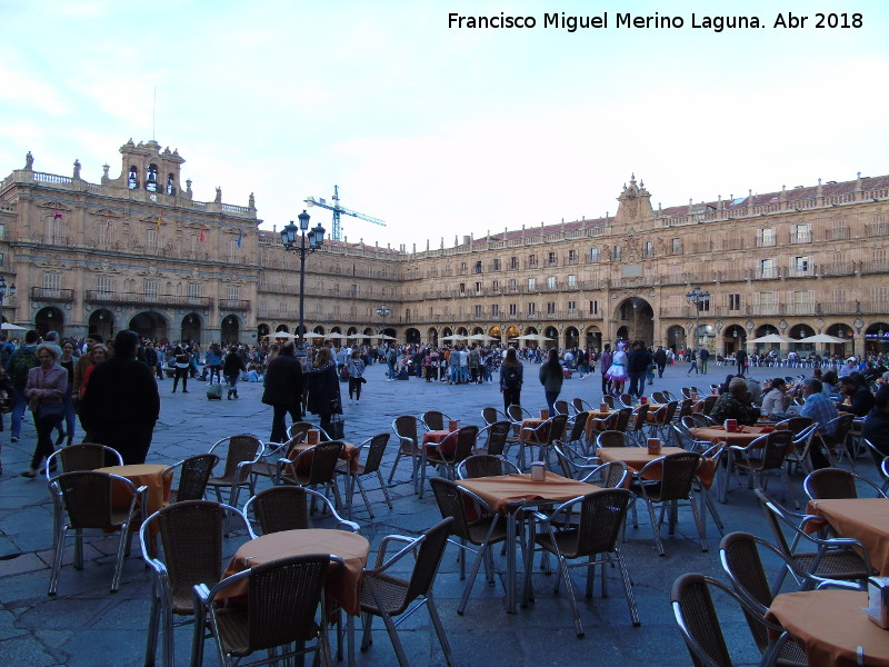 Plaza Mayor - Plaza Mayor. 