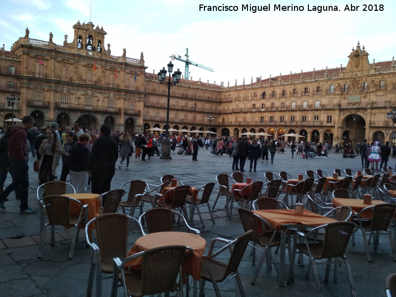 Plaza Mayor - Plaza Mayor. 