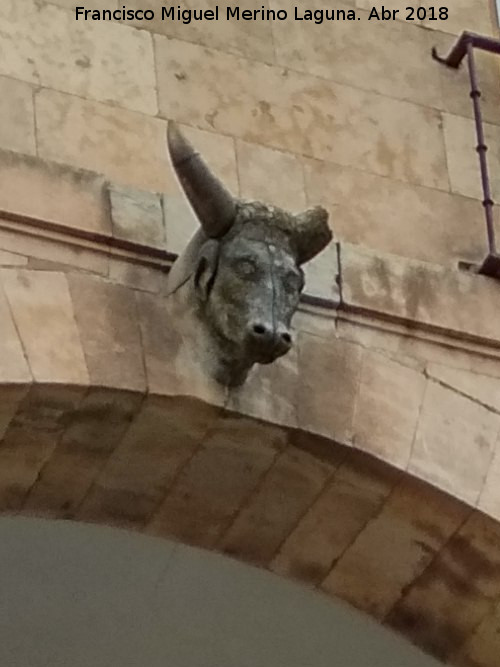 Plaza Mayor - Plaza Mayor. Cabeza de toro