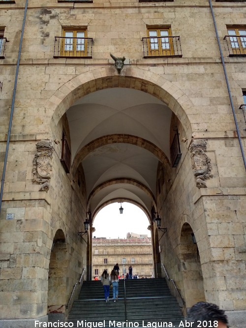 Plaza Mayor - Plaza Mayor. Arco de San Fernando