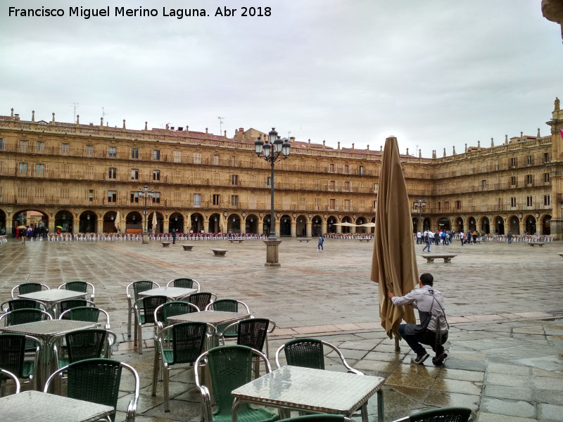 Plaza Mayor - Plaza Mayor. 