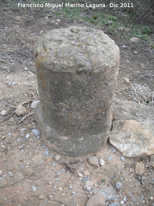 Cstulo - Cstulo. Columna