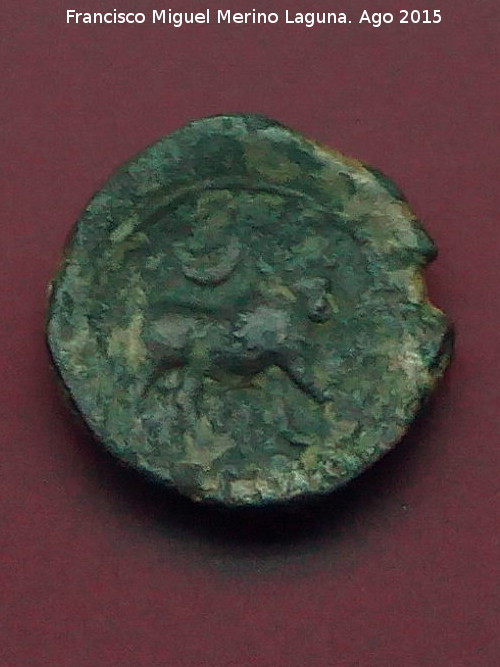 Cstulo - Cstulo. Moneda de Cstulo. Museo Arqueolgico Provincial de Jan