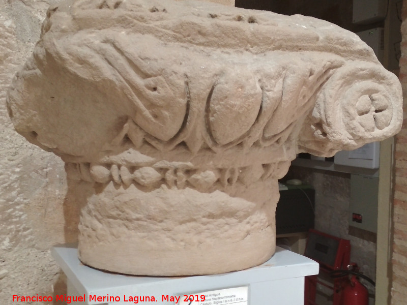 Cstulo - Cstulo. Capitel jnico hispano romano siglos I a.C - I d.C. - Museo Arqueolgico de Linares