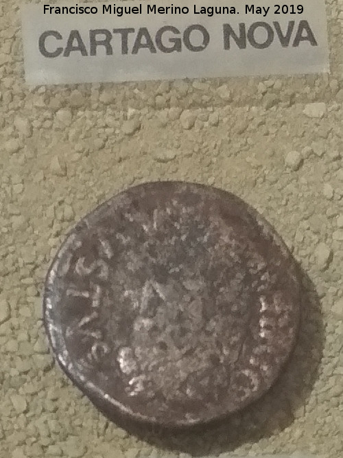 Cstulo - Cstulo. As de Cartago Nova 50 a.C. Museo Arqueolgico de Linares