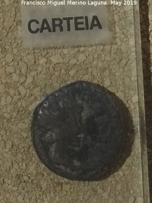 Cstulo - Cstulo. As de Carteia ao 25. Museo Arqueolgico de Linares