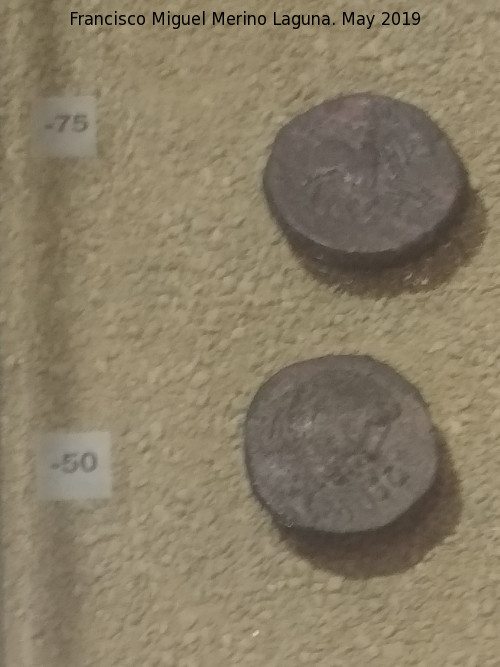 Cstulo - Cstulo. Ases de Cstulo 75 y 50 a.C. Museo Arqueolgico de Linares