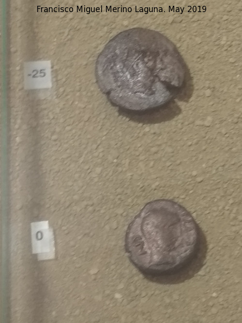 Cstulo - Cstulo. Ases de Cstulo 25 a.C. y de cambio de era. Museo Arqueolgico de Linares