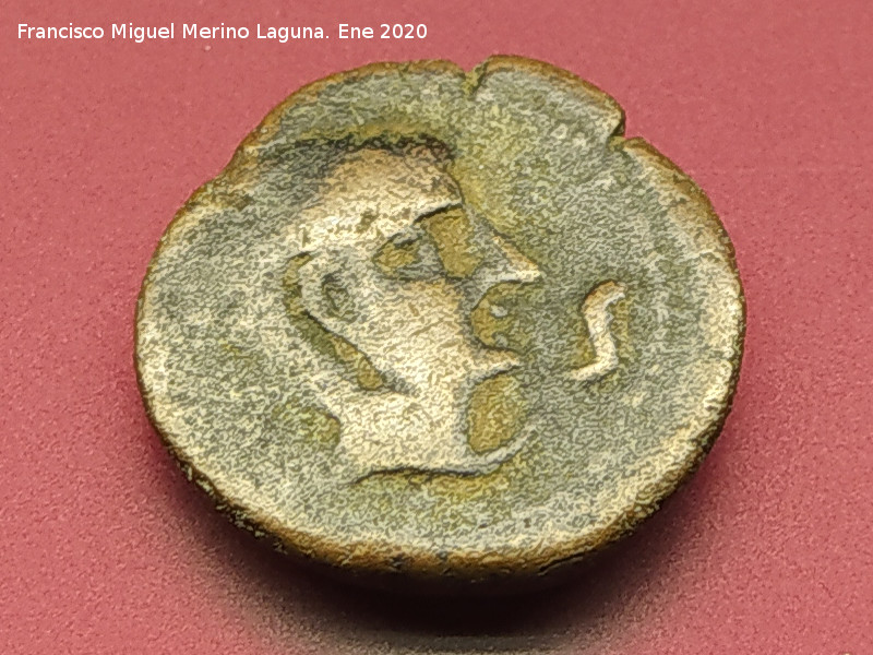 C�stulo - C�stulo. Divisor de C�stulo. Anverso: Cabeza masculina apol�nea. Museo Provincial de Ja�n