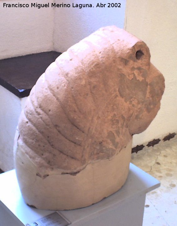 Cstulo - Cstulo. Cabeza de len ibrica. Museo Arqueolgico de Linares