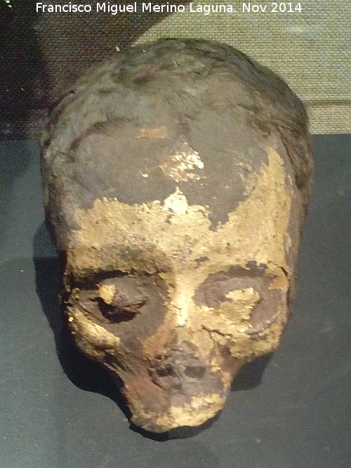 Museo de Antropologa - Museo de Antropologa. Cabeza momificada egipcia