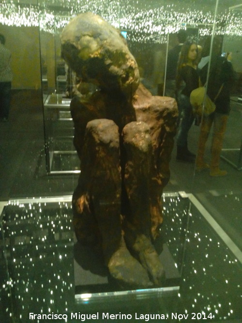 Museo de Antropologa - Museo de Antropologa. Momia Inca siglo VI d.C.