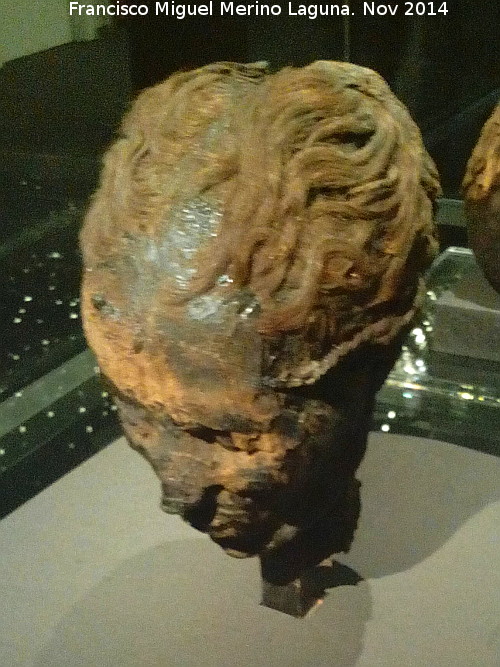 Museo de Antropologa - Museo de Antropologa. Cabeza momificada egipcia femenina